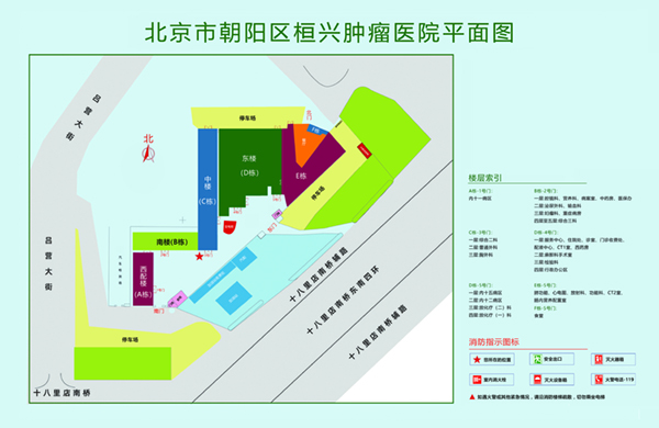 黄1抄逼北京市朝阳区桓兴肿瘤医院平面图